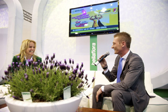 E-Masse Birgit Morelli